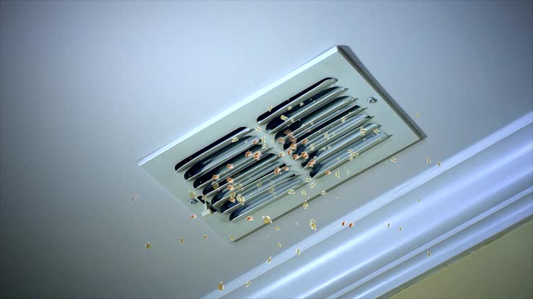 Best Residential Air Duct Cleaning  in Ewa Gentry, HI